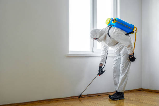 Best Pest Control for Multi-Family Homes  in Landing, NJ